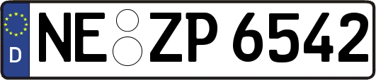 NE-ZP6542
