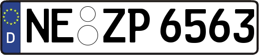 NE-ZP6563