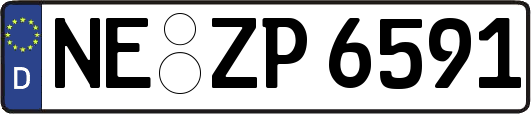 NE-ZP6591