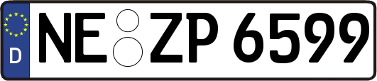 NE-ZP6599