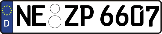 NE-ZP6607