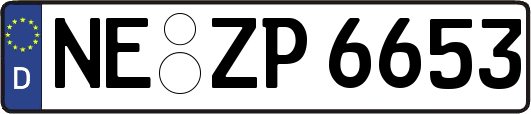 NE-ZP6653