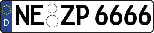 NE-ZP6666