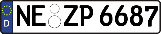 NE-ZP6687