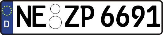 NE-ZP6691