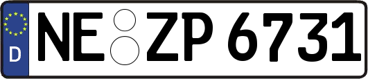 NE-ZP6731