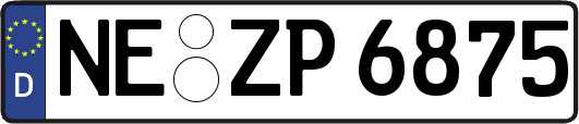 NE-ZP6875