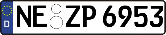 NE-ZP6953