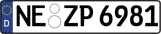 NE-ZP6981