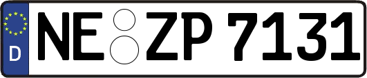 NE-ZP7131
