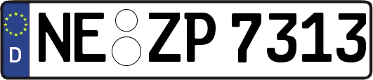 NE-ZP7313