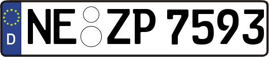 NE-ZP7593