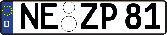 NE-ZP81