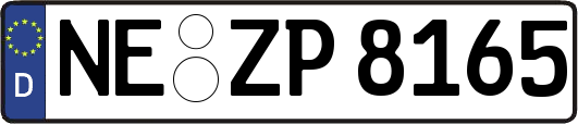 NE-ZP8165