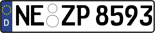 NE-ZP8593