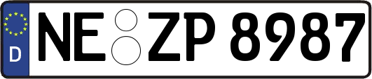 NE-ZP8987