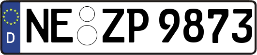 NE-ZP9873