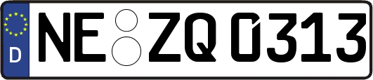 NE-ZQ0313