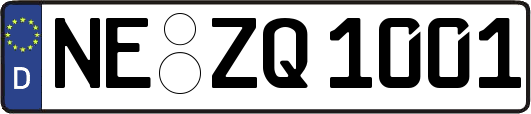 NE-ZQ1001