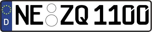 NE-ZQ1100
