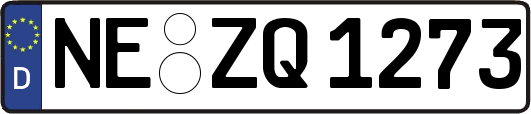 NE-ZQ1273