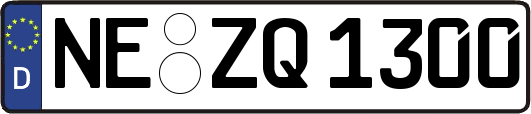 NE-ZQ1300