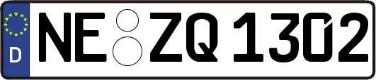 NE-ZQ1302