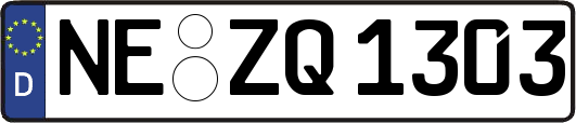 NE-ZQ1303