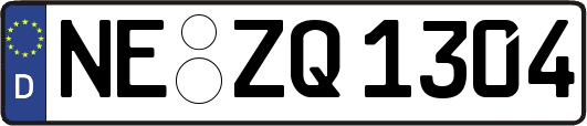 NE-ZQ1304