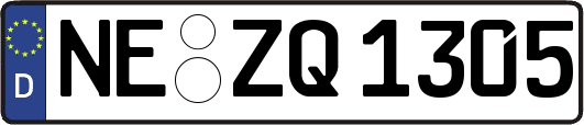 NE-ZQ1305