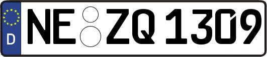 NE-ZQ1309