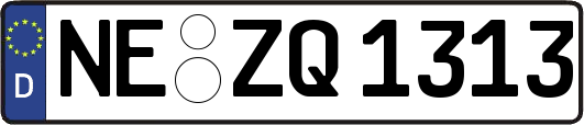 NE-ZQ1313