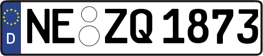 NE-ZQ1873