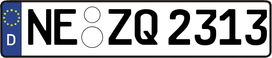 NE-ZQ2313