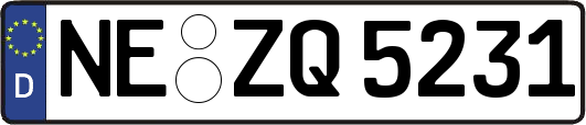 NE-ZQ5231