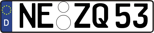 NE-ZQ53