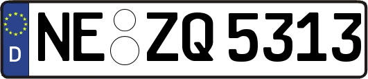 NE-ZQ5313