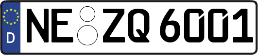 NE-ZQ6001