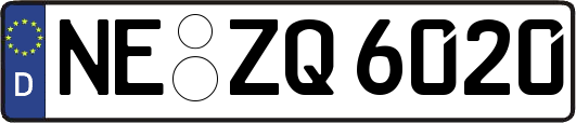 NE-ZQ6020
