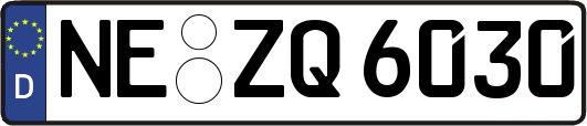 NE-ZQ6030