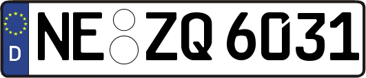 NE-ZQ6031