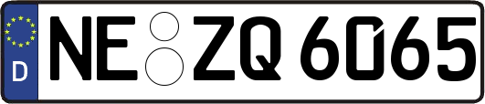 NE-ZQ6065