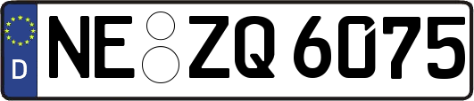 NE-ZQ6075