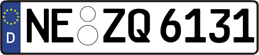 NE-ZQ6131