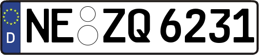 NE-ZQ6231