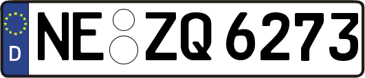 NE-ZQ6273