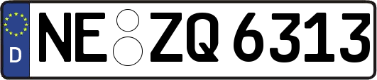 NE-ZQ6313
