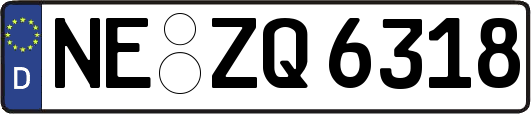 NE-ZQ6318