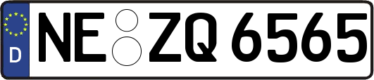 NE-ZQ6565