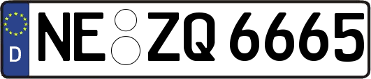 NE-ZQ6665